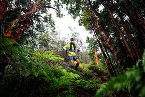 BIB: 
                            <button type="button" onclick="openModal(26201477)" class="btn btn-primary btn-sm float-right btn-popup" data-toggle="modal" data-target=".modal-high-quality">
                        <i class="fas fa-shopping-cart"></i> Add to Cart
                    </button>
                                            <button type="button" onclick="isThisMe(26201477, true)" class="btn btn-success btn-sm float-right btn-popup btn-isme hidden" data-toggle="tooltip" data-placement="bottom" title="นี่คือรูปของคุณใช่ไหม คลิกที่นี่เพื่อเอาเข้าอัลบั้ม">
                        <i class="fas fa-plus"></i> Add to album
                    </button>
                    <button type="button" onclick="isThisMe(26201477, false)" class="btn btn-warning btn-sm float-right btn-popup btn-isnotme hidden">
                        <i class="fas fa-ban"></i> Remove from album
                    </button>